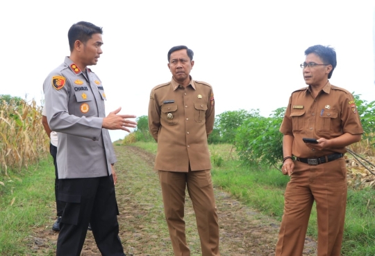Ketahanan pangan