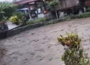 Horee ! Aktivitas di Lahan PT Kalidjeruk Baru Ditutup
