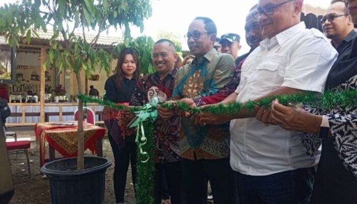 Koperasi Subasu, Tanam Sekali Untung Sepanjang Tahun