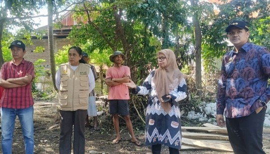 Sapi kurban