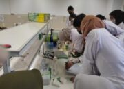 Unusa Buka Peluang Postdoctoral Internasional, Perkuat Posisi Riset Global