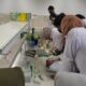 Postdoctoral