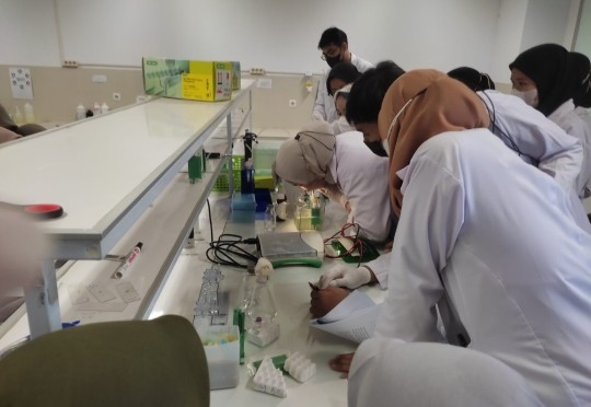 Postdoctoral