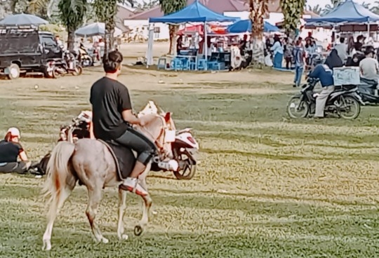 KPT