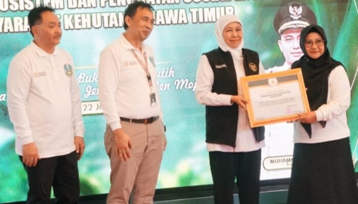Pemkab Magetan Raih Penghargaan Pemulihan Ekosistem Darat