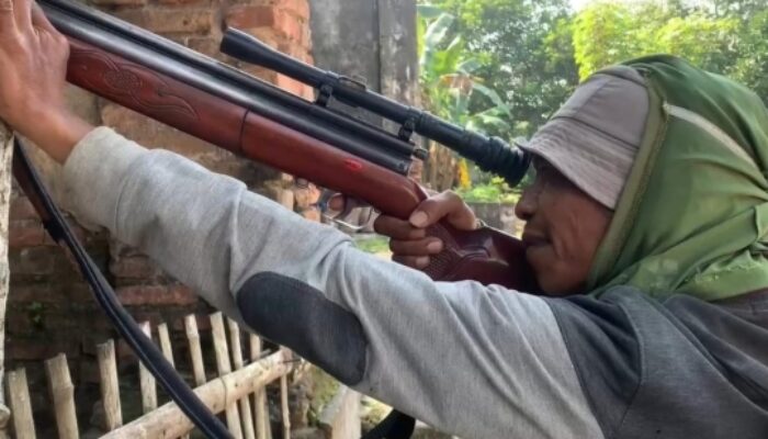 Teror Monyet Liar di Jombang Renggut Korban, Sayembara Berhadiah Jutaan Digelar