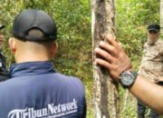 Bupati Ogan Ilir PWA Utus Pejabat Cek Sumur Minyak di Desa Tebedak