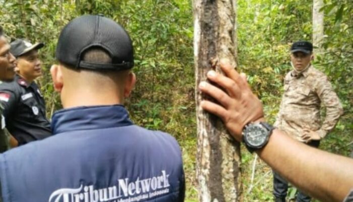 Bupati Ogan Ilir PWA Utus Pejabat Cek Sumur Minyak di Desa Tebedak