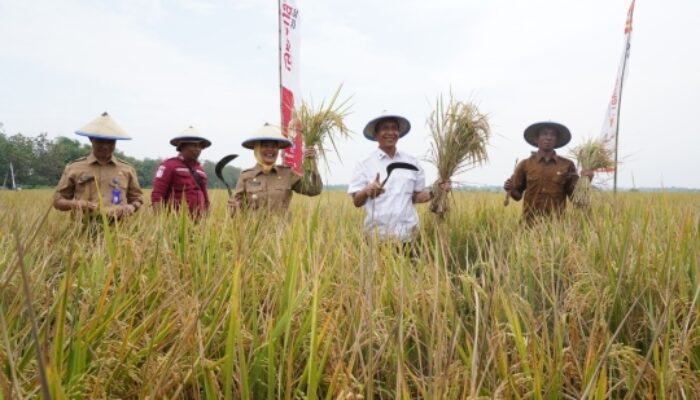 Pemkab Bojonegoro Bertekad Jadi Produsen Padi Terbesar II di Jatim