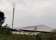 Uji Coba Pabrik Pengolahan Tembakau PT STI, Bau Tak Seht Tetap Menyerang