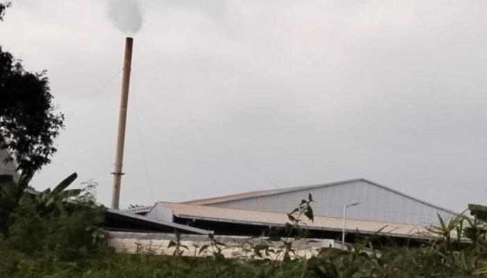Uji Coba Pabrik Pengolahan Tembakau PT STI, Bau Tak Seht Tetap Menyerang
