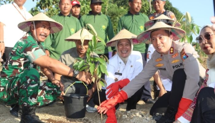 Pemkab Bojonegoro Andil Sukseskan Swasembada Pangan Tanam Jagung Serentak Kuartal lll