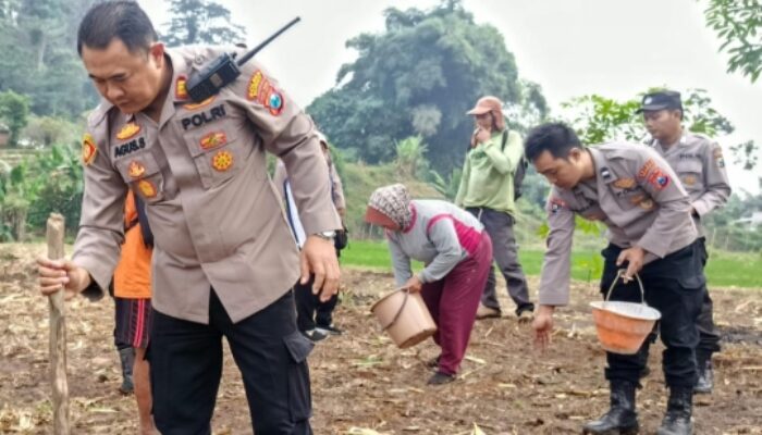 Polsek Jatirejo dan Warga Desa Manting Tanam Jagung di Lahan Perhutanan Sosial