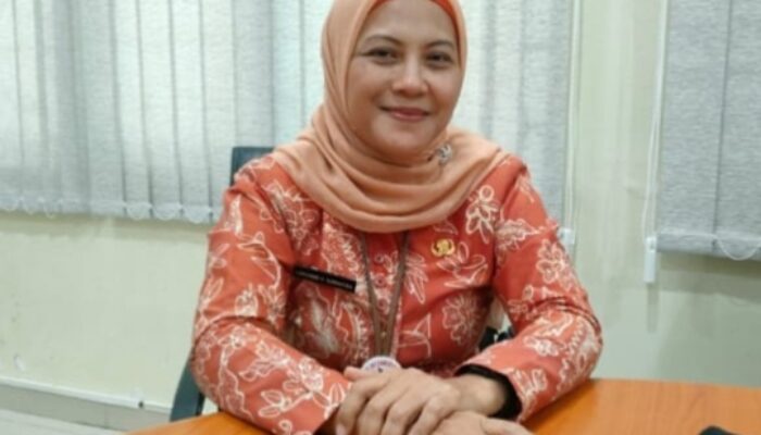 Marak Bidan Praktik Lampaui Wewenang, Berikut Imbauan Kadinkes