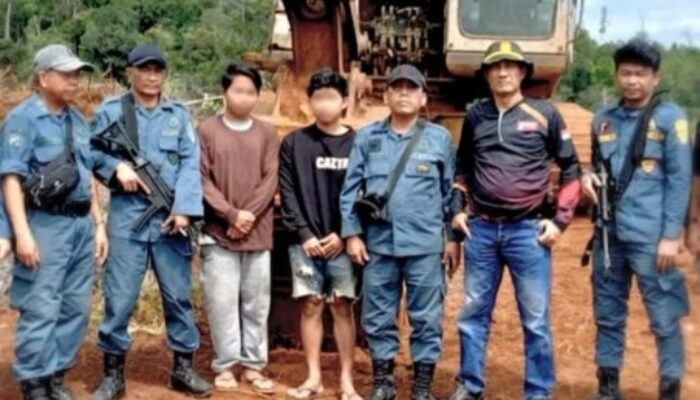 Rambah Hutan Tanpa Izin, Tiga Warga Luwu Timur Jadi Tersangka Gakkumhut Sulawesi