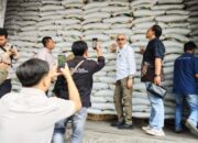 Ribuan Ton Gula Rakyat di Bondowoso dan Situbondo Belum Laku, Petani Merugi Ratusan Miliar