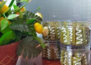 Modisco Moringa Terbukti Dapat Tingkatkan Status Gizi Anak