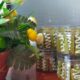Modisco Moringa