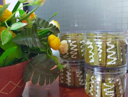 Modisco Moringa
