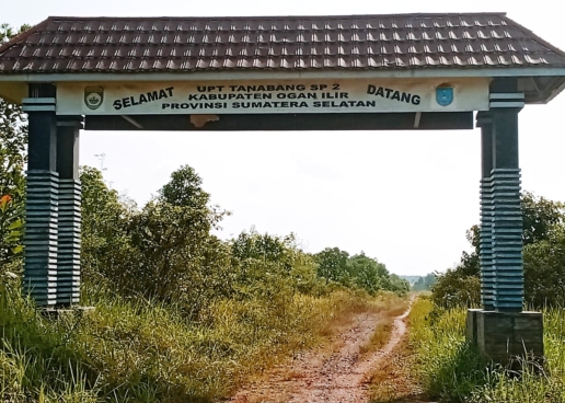 Tsunade bilan plyajda jinsiy aloqa