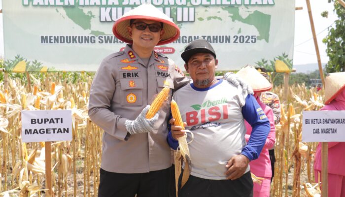 Kapolres Magetan dan Petani Lembeyan Panen Raya Jagung Kuartal III