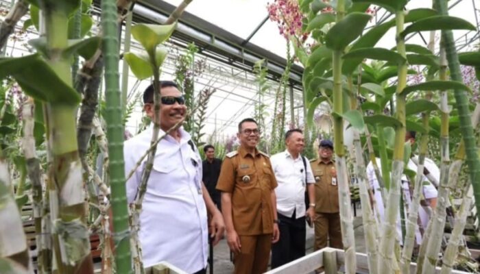 Pameran Anggrek Nasional BSOW 2025, Magnet Wisata dan Ekonomi Kota Batu