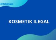 Pemilik Ayana Store Sudah Menjual Dugaan Kosmetik Ilegal Sejak 2019