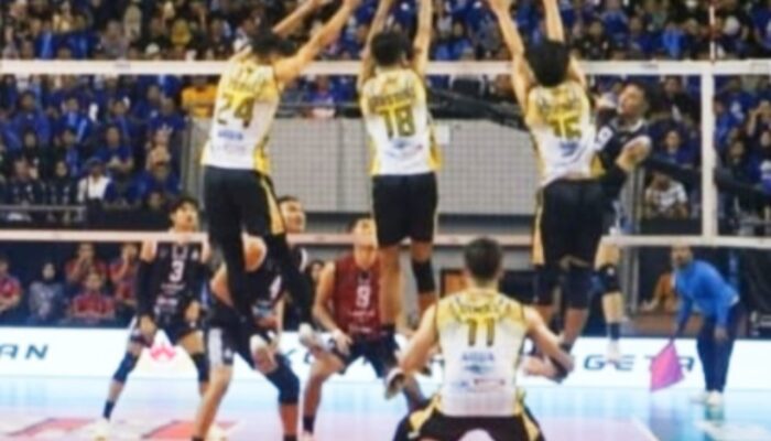 3-0, Lavani Navy Tekuk Indomaret, Laju Final Livoli Aman