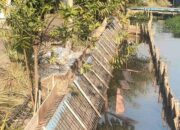 Proyek PT Titis Jadi Sorotan Warga, Pihak BBWS Brantas Tutup Mata