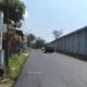 Pandanlandung