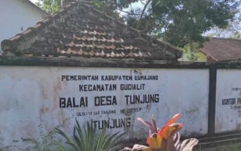 Tunjung