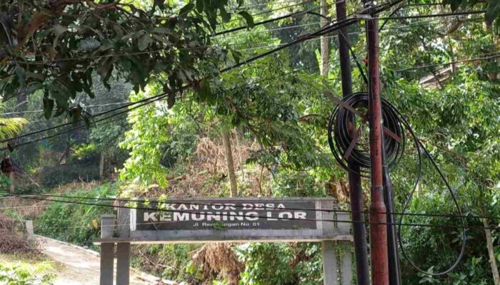 Kades Kemuning Lor Sebut RT/RW Net di Desanya Telah Punya Tiang Sendiri