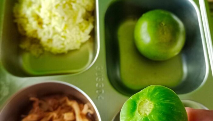 SPPG Kebonan Klakah Lumajang Dikeluhkan Soal Menu Tak Bergizi
