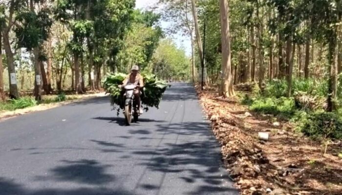 Pemkab Tuban Prioritaskan Infrastruktur Jalan Grabakan-Semanding, Dapat Respon Positif Masyarakat