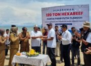 Tanam Hexa Reef, PHE WMO Lestarikan Pesisir Bangkalan