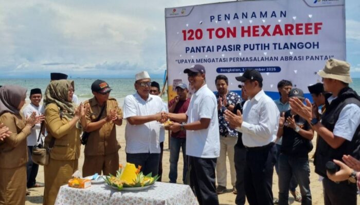 Tanam Hexa Reef, PHE WMO Lestarikan Pesisir Bangkalan