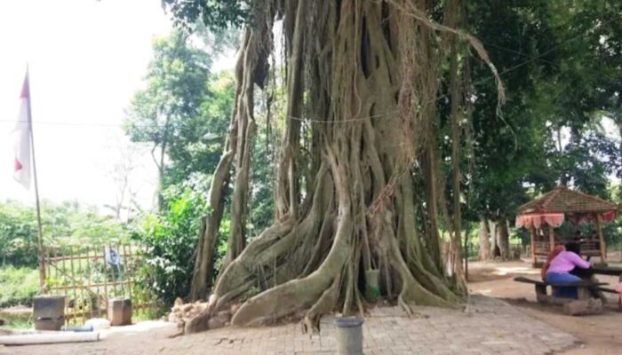 Petirtaan Sumberbejii Diyakini Bagian dari Kedaton
