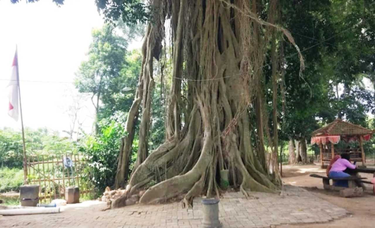 Sumberbeji
