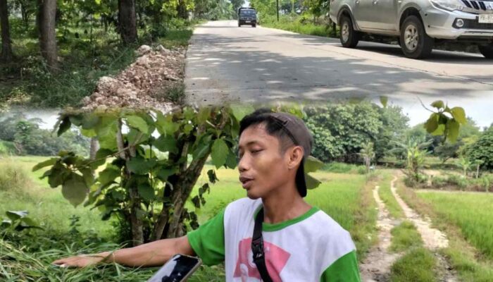 Pemkab Tuban Tingkatkan Insfrastruktur Jalan Rigid Beton, Warga Sambut Positif