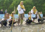 Upaya Pemulihan Lingkungan: Telkom-BMM Tanam Ribuan Mangrove di Pantai Martajasah