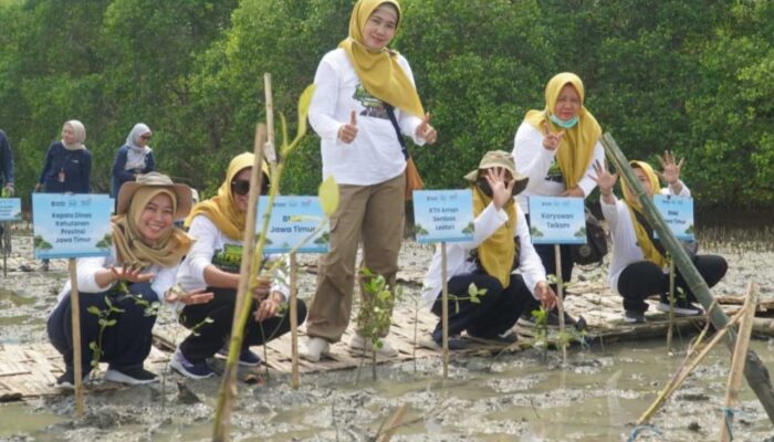 Upaya Pemulihan Lingkungan: Telkom-BMM Tanam Ribuan Mangrove di Pantai Martajasah