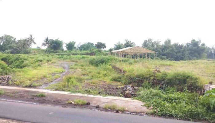 Warga Bedadung Tak Kunjung Terima Pelunasan, Diduga Pembelinya Seorang Anggota DPRD Jember