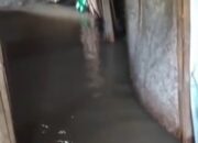 Viral, Rumah Janda Tua di Kadungrejo Baureno Menyedihkan