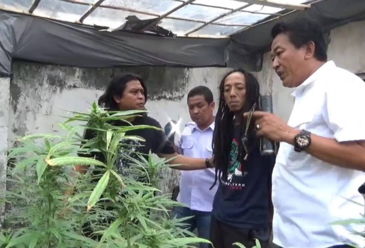 Ganja
