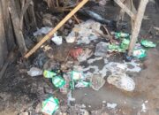 Pasar Ngemplak Kumuh dan Jorok, Pedagang Mengeluh