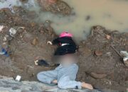 Geger Mayat Mahasiswi Dibuang di Jalan Purwosari-Pasuruan