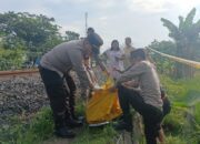 Diduga Gegara Asmara, Pria Asal Sumsel Ini Tewas Tertabrak Kereta
