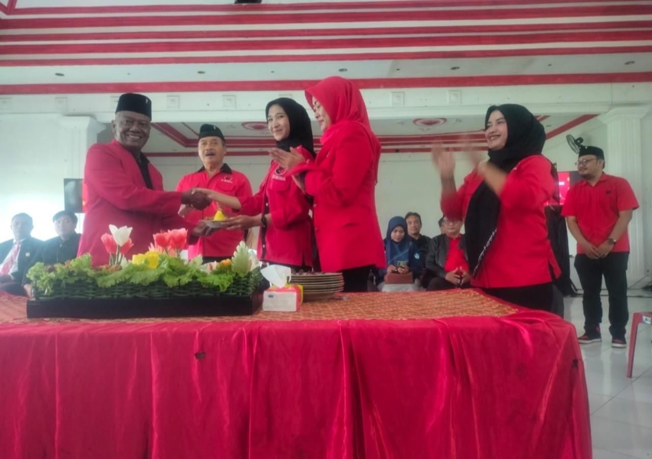 DPC PDIP