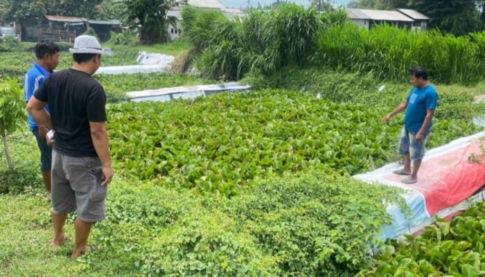 Menelusuri IPAL Tahu di Jombang, Tetap Berfungsi dan Begini Asal Usul Lahannya