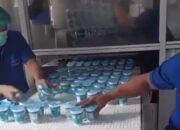 Kelangkaan Susu UHT, SPPG Bisa Beralih ke Susu Pasteurisasi